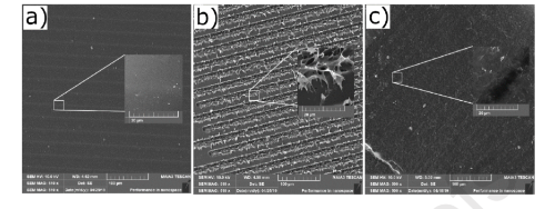 ion-microbeam2