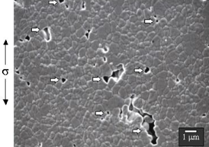 SEM of superplastic 3Y-TZP ceramic sample (nominal e=200%)