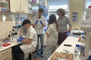 iIMG_1022